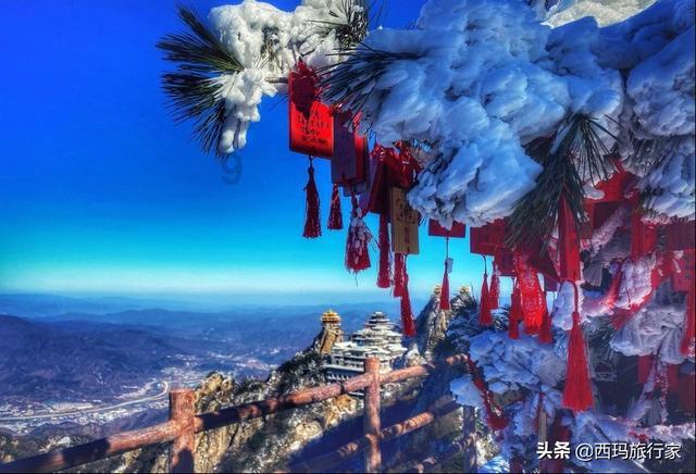掘地挖宝